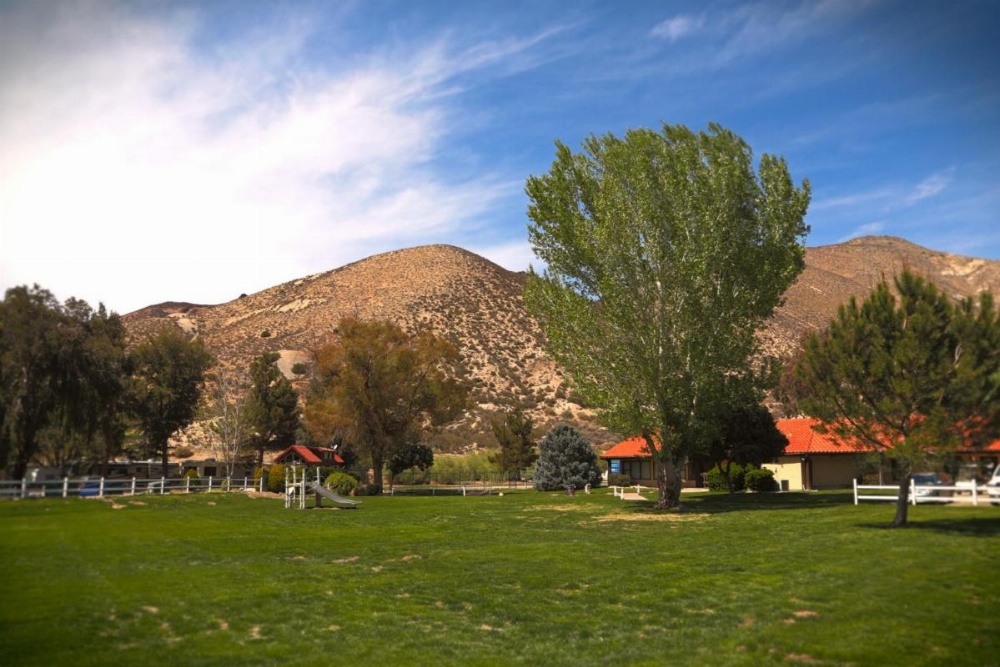 Soledad Canyon Cottage 5